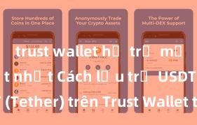 trust wallet hỗ trợ mạng nào tốt nhất Cách lưu trữ USDT (Tether) trên Trust Wallet tại Việt Nam